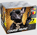 Cooler hund