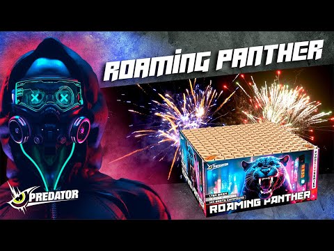 Roaming panther